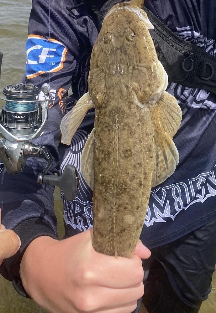 Flathead catch