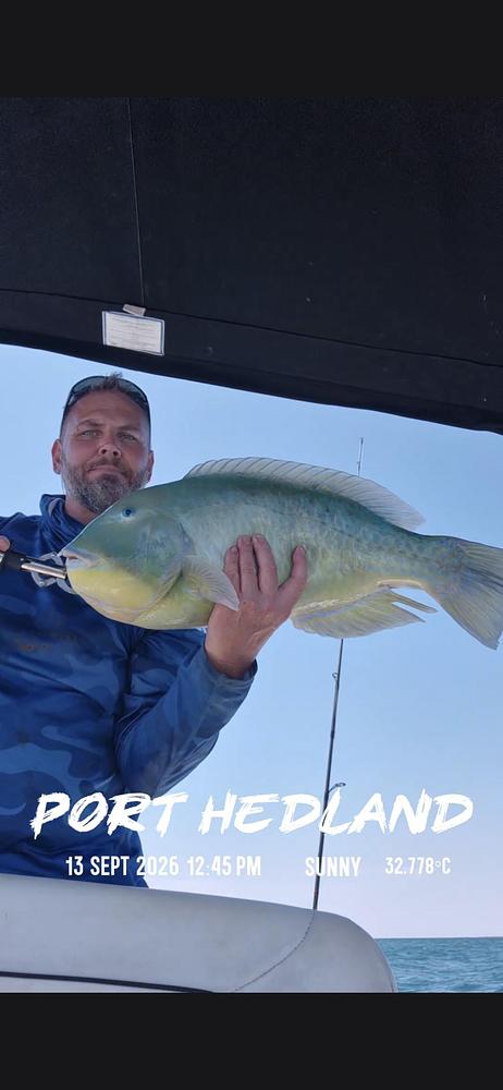 Baldchin Groper catch