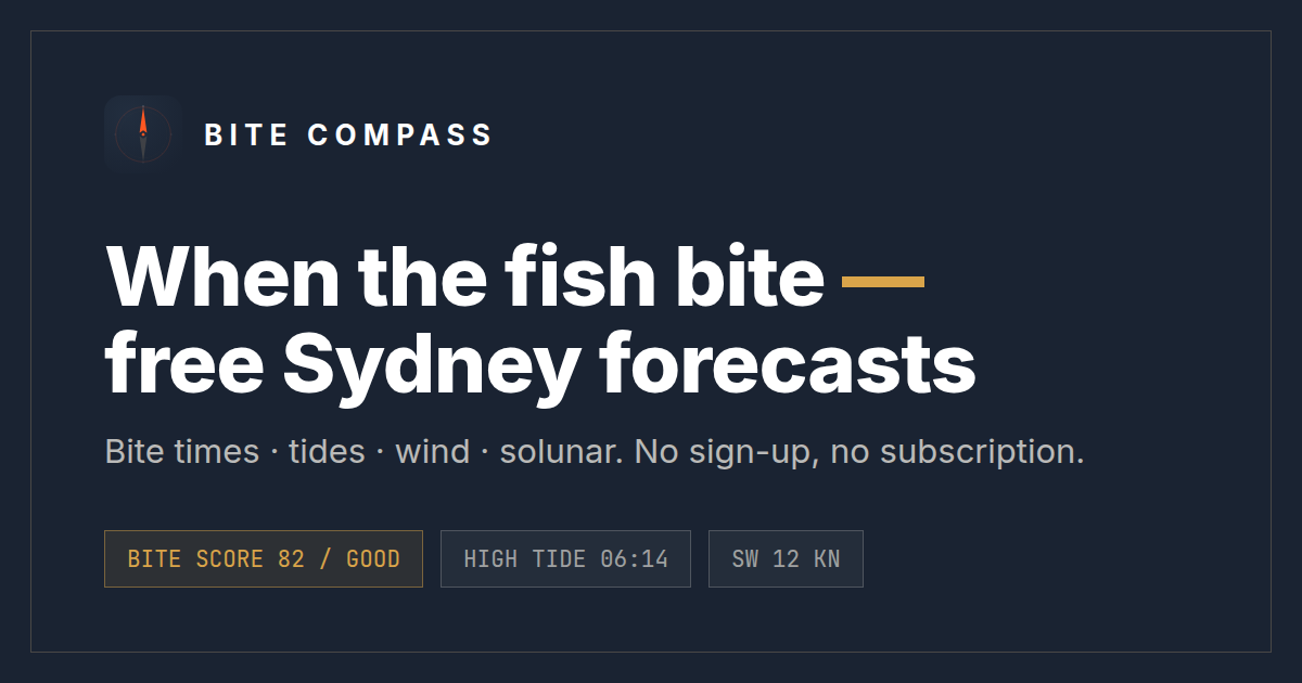 Selunara Sydney bite times & fishing forecast — New South Wales rock platforms ...